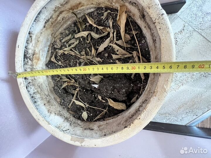 Большой глиняный горшок