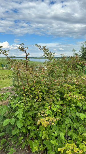 Дом 150 м² на участке 30 сот.