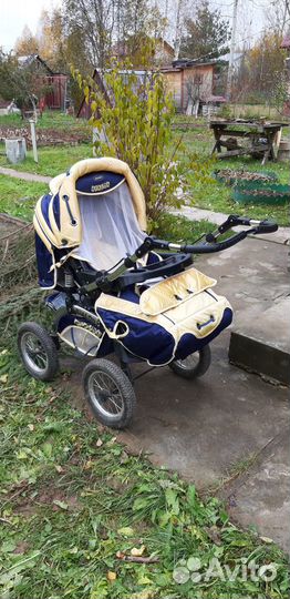 Коляска adamex avalon