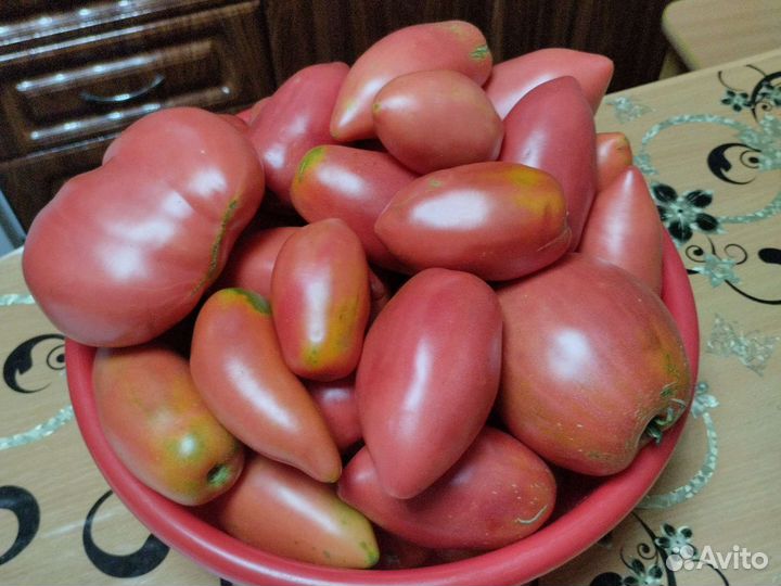 Огурцы и томаты свежие домашние