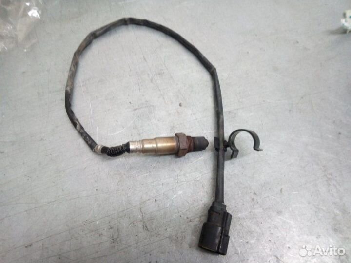 Датчик кислородный Ford Focus 3 хэтчбек 2.0