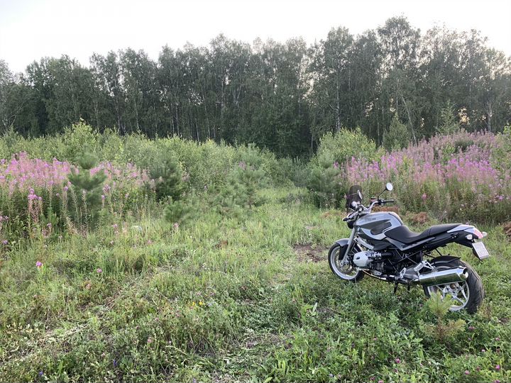 Участок 9,6 сот. (ИЖС)