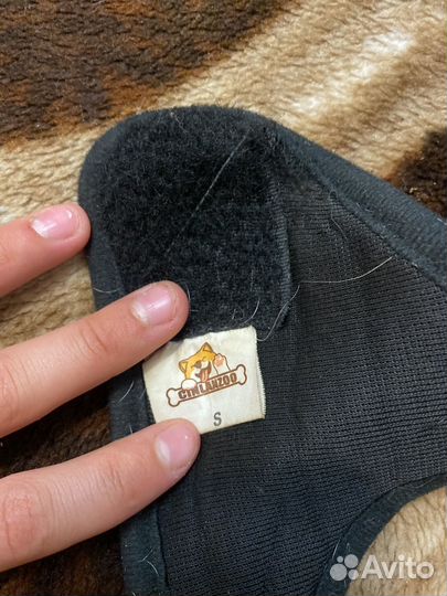 Шлейка доя собак