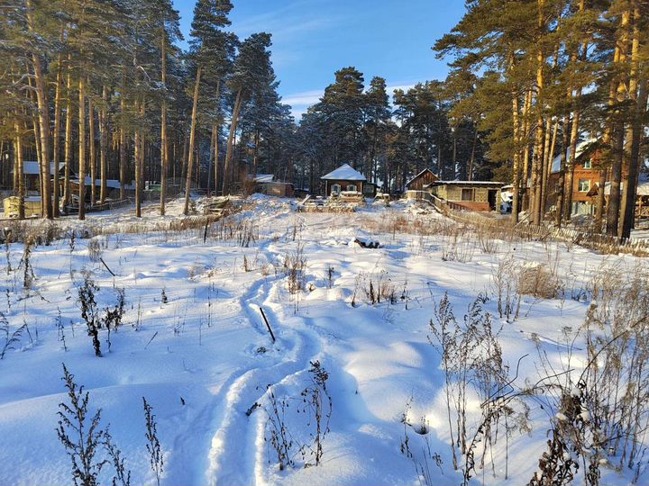 Участок 15 сот. (ИЖС)