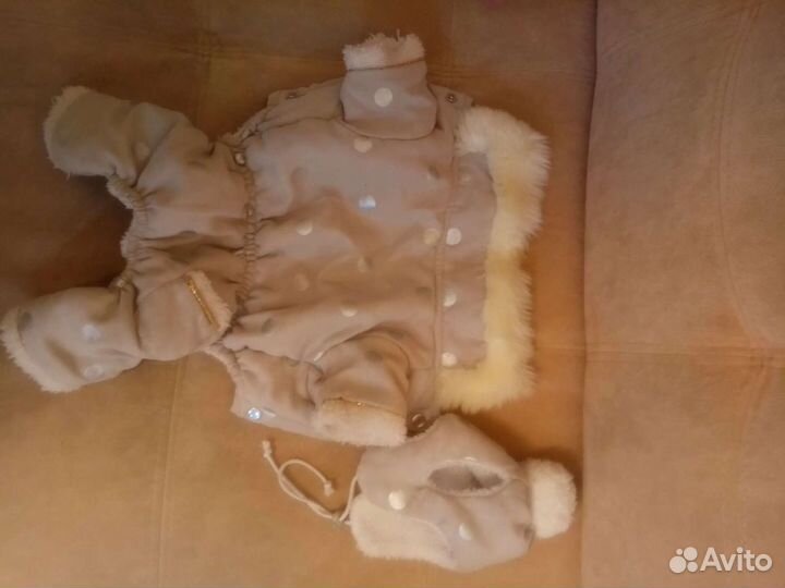 Одежда для собак