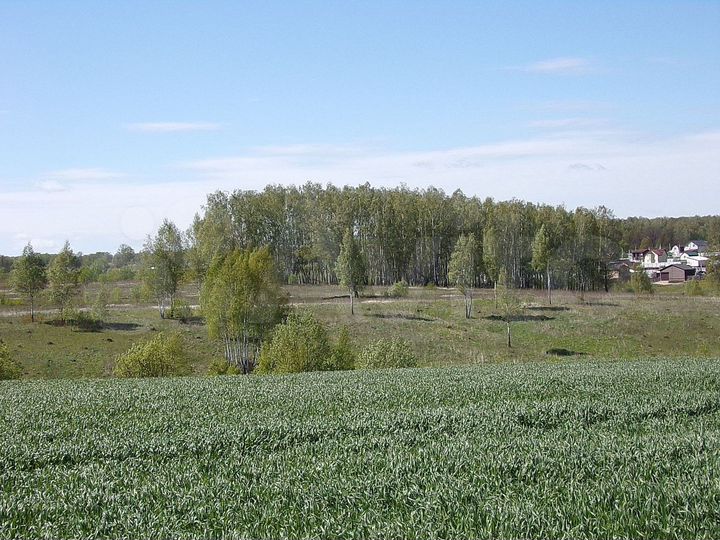 Участок 15 сот. (ИЖС)