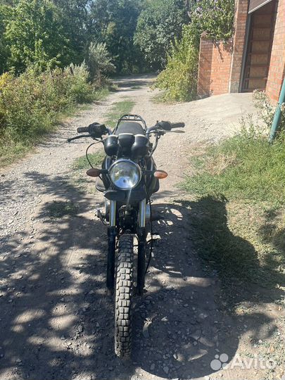 Альфа 125