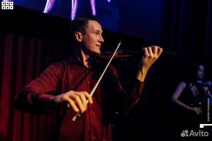 Скрипка на праздник