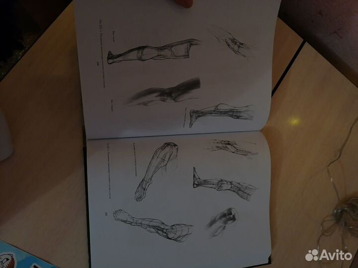 Основы учебного академического рисунка Н.Ли