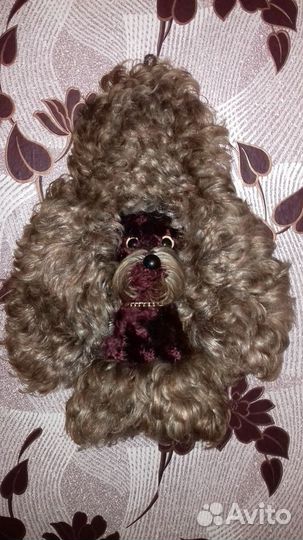 Пудель винтаж СССР