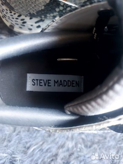 Steve madden кроссовки