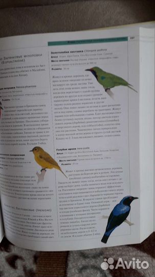 Энциклопедия