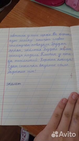 Тетрадь с готовым диктантом