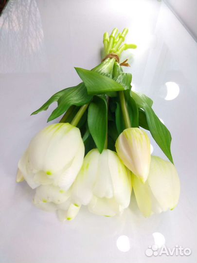 Тюльпаны искусственные. Силиконовые