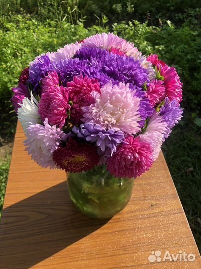 Букеты из астр и циний, со своего огорода