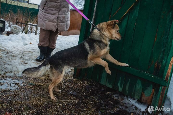 Хочу домой