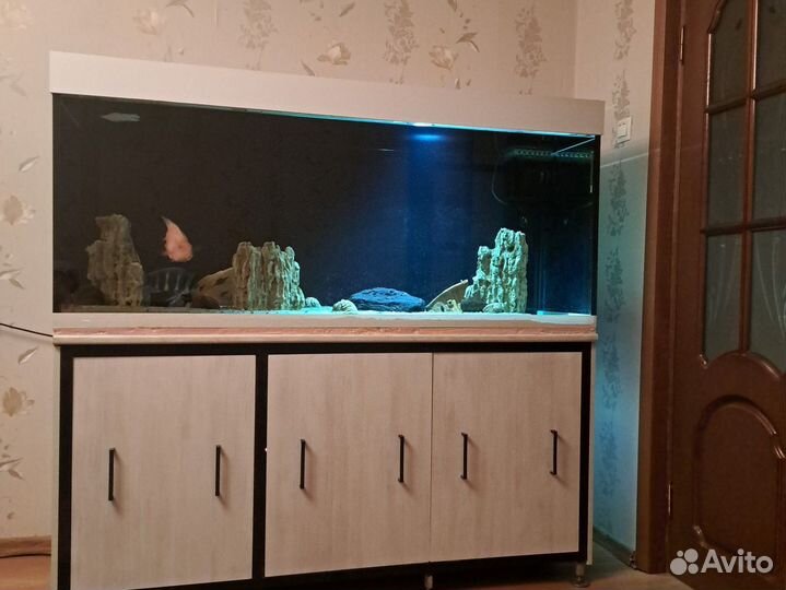 Аквариум с рыбками бу