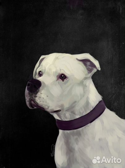 Портреты питомцев на заказ