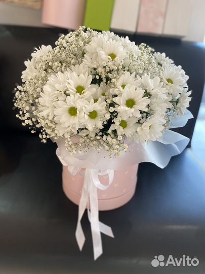 Хризантема