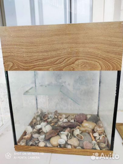 Аквариум для красноухой черепахи