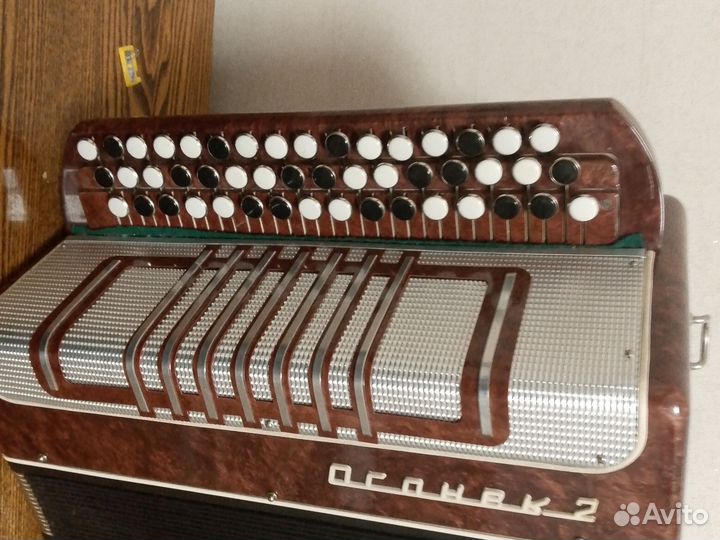 Баян Огонек 2