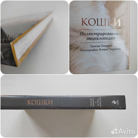 Кошки энциклопедия