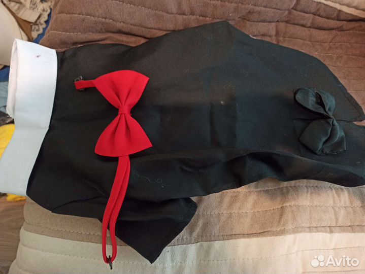 Костюм для маленьких собачек