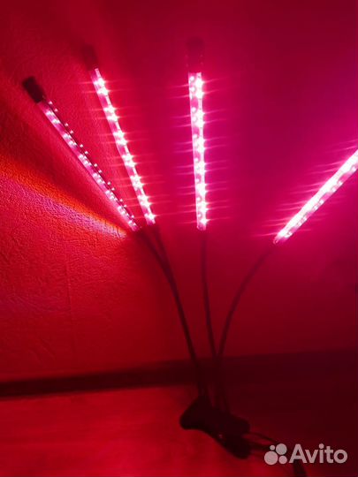 Фитолампа для растений полный спектр