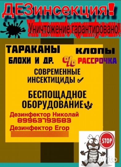 Дезинфекция от тараканов и клопов