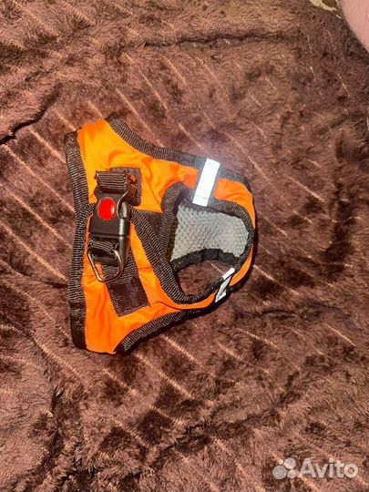 Шлейка для маленькой собаки