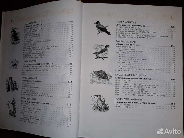 Книги для детей