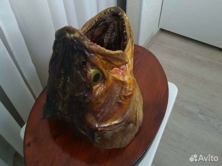 Чучело головы рыбы