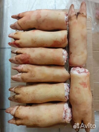 Ножки свиные