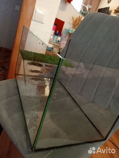 Аквариум для черепахи 20л