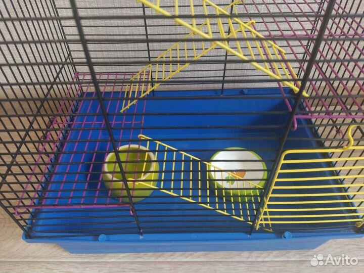 Большая клетка для грузунов + переноска+миски+корм