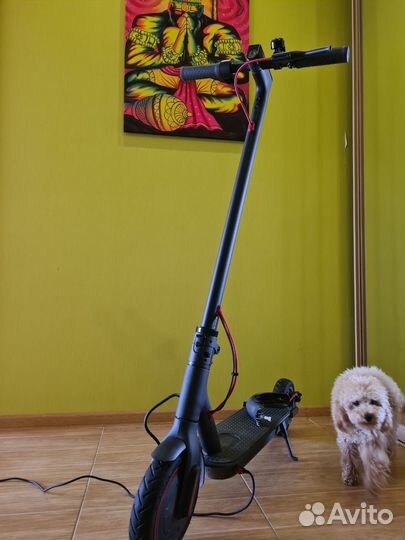 Электросамокат взрослый Xiaomi Mijia M365 Pro