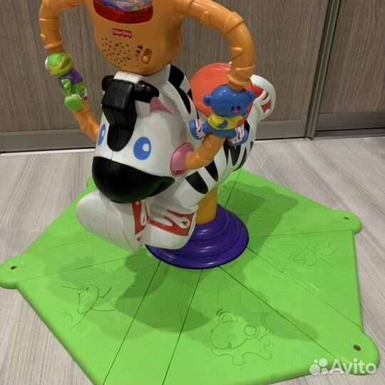 Зебра прыгун