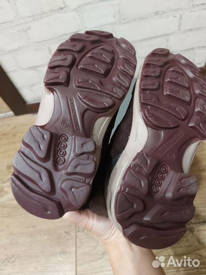 Ботинки ecco biom