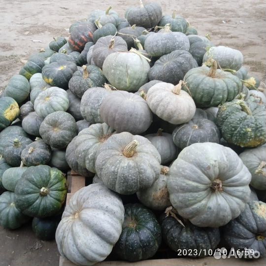 Картошка, капуста, тыква