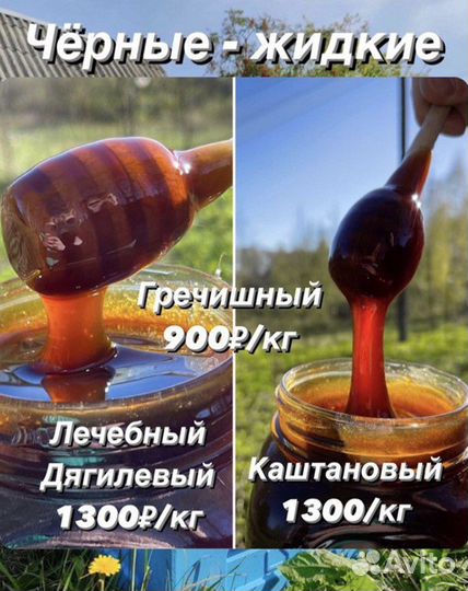 Мед (в ассортименте)