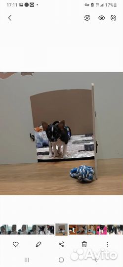 Вольер для собак