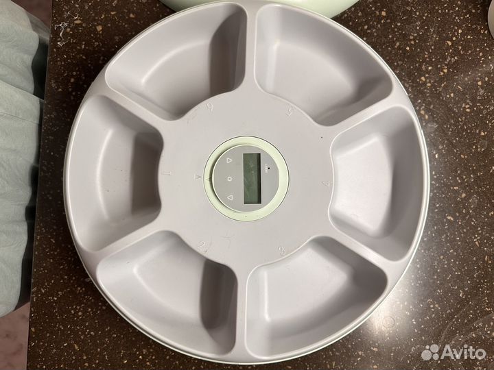 Автокормушка для собак