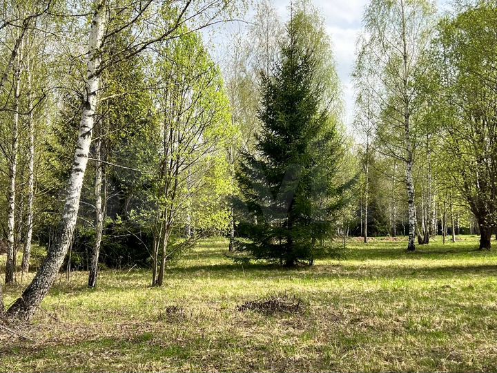 Участок 8,1 сот. (ИЖС)