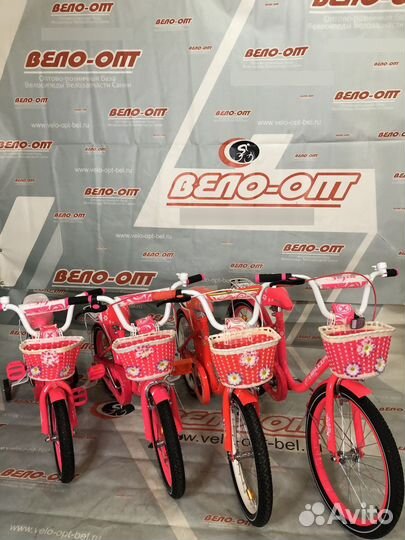 Велосипед детский maxxpro Sofia 2023г 12-20