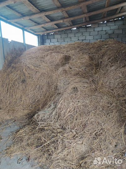 Продам сено