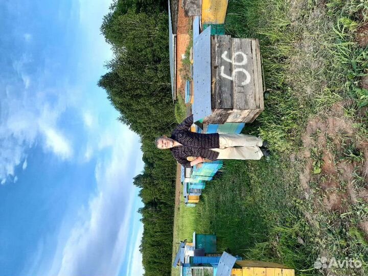 Продается пасека
