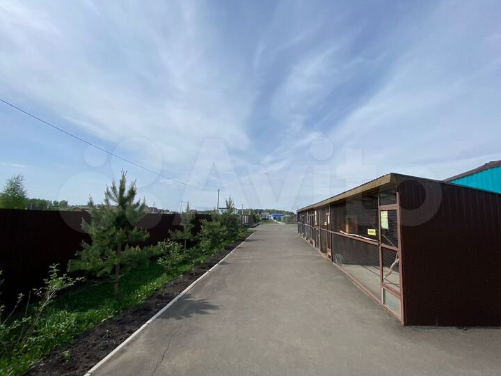 Участок 100 сот. (СНТ, ДНП)