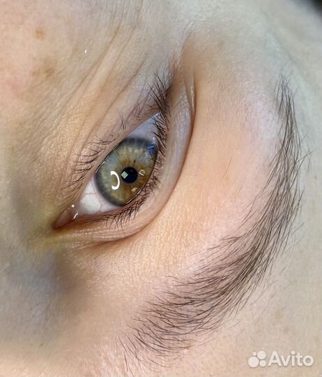 Коррекция и окрашивание бровей ресницы