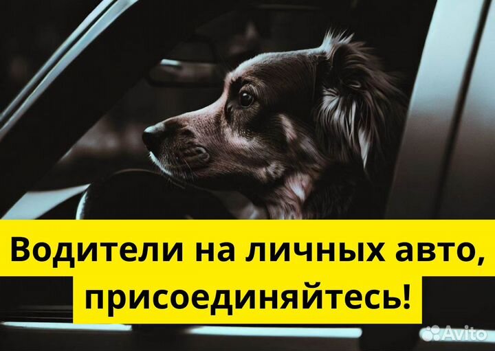 Ищем водителя с автомобилем для яндексgo