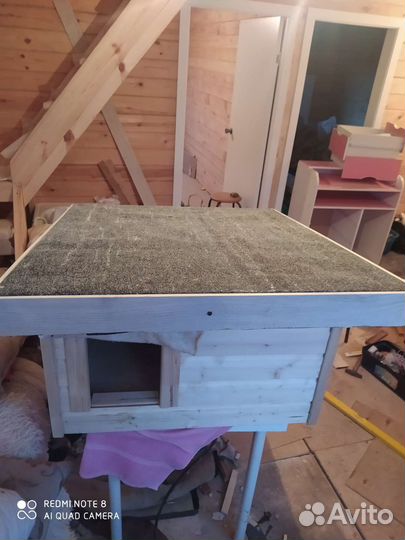 Товары для животных